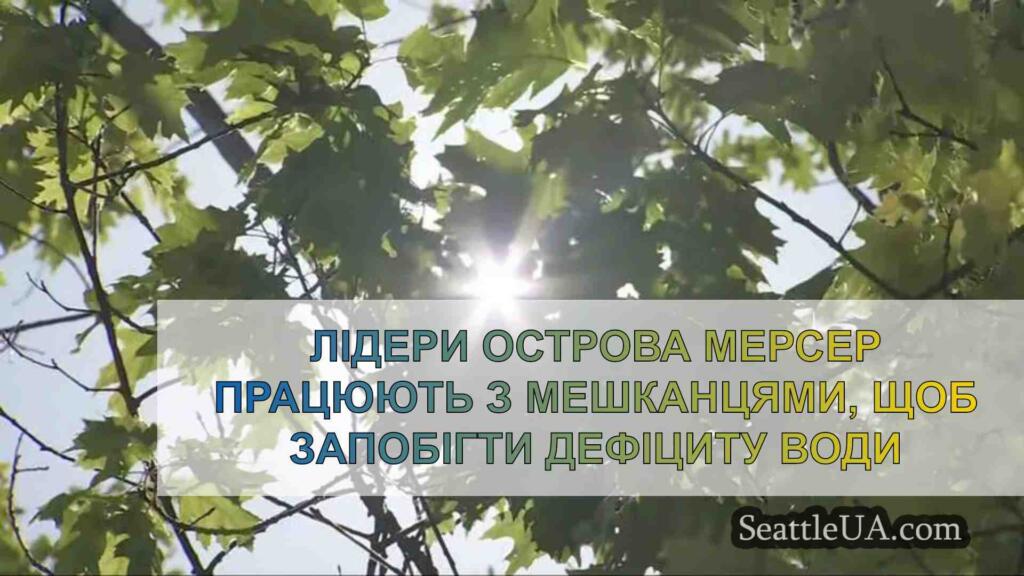 Керівництво острова Мерсер працює з