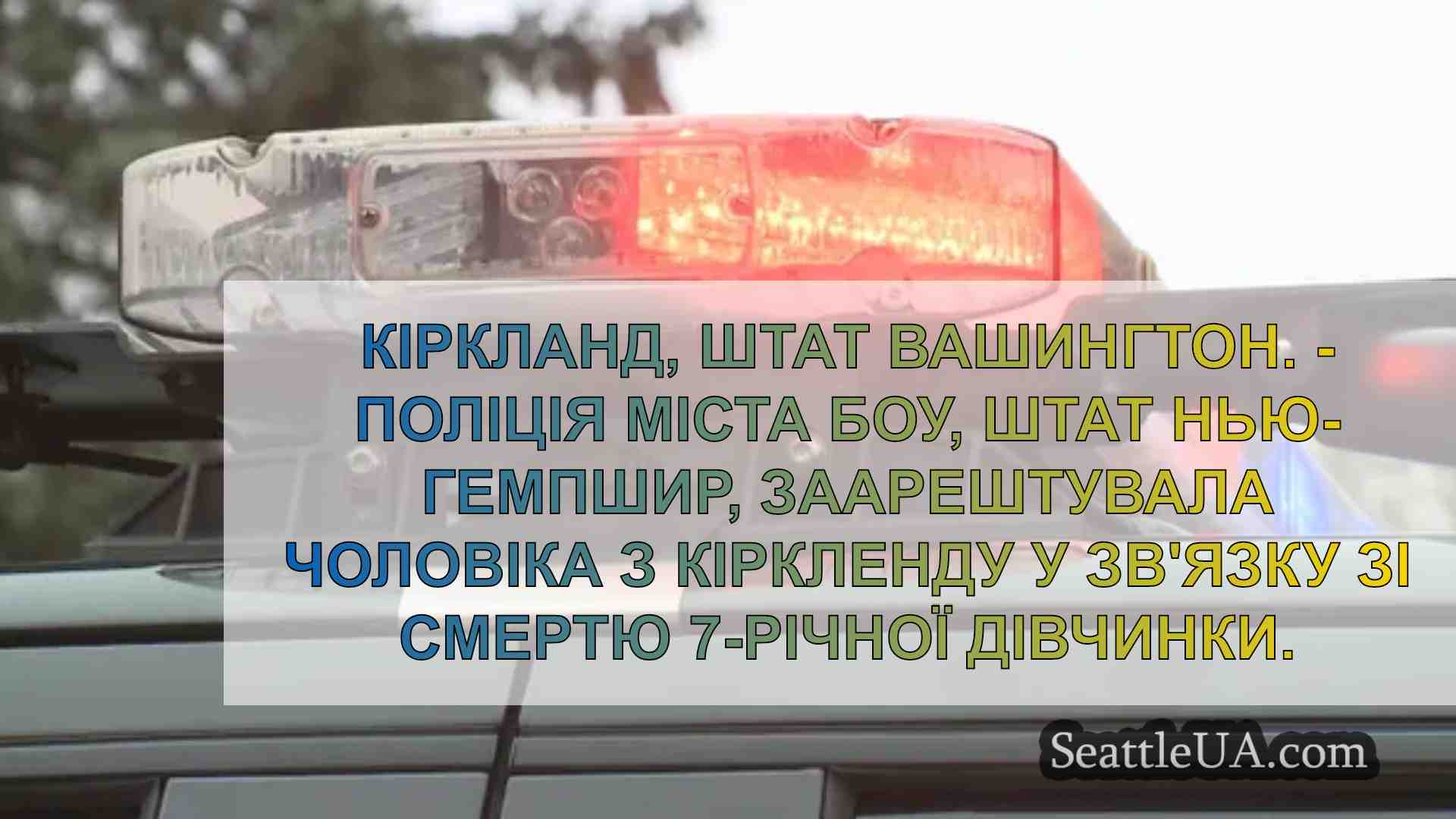 У Нью-Гемпширі заарештовано чоловіка з