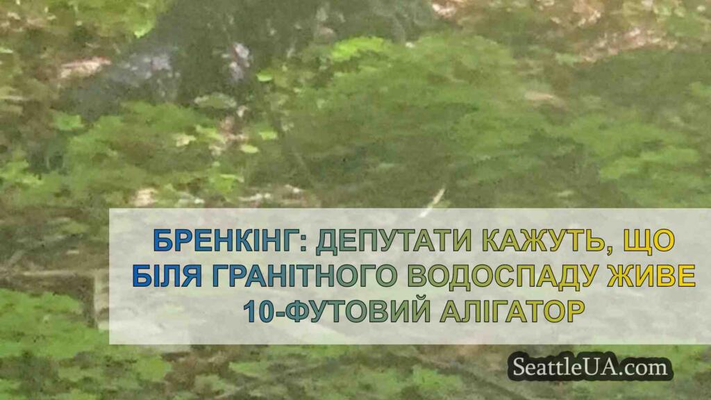БРЕНКІНГ: Депутати кажуть, що біля