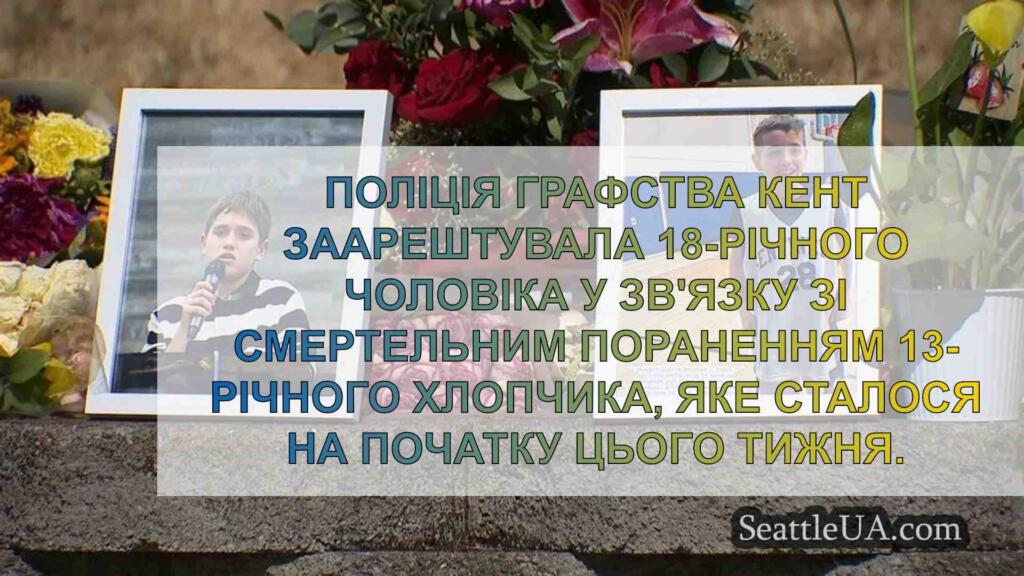 Заарештовано 18-річного хлопця під