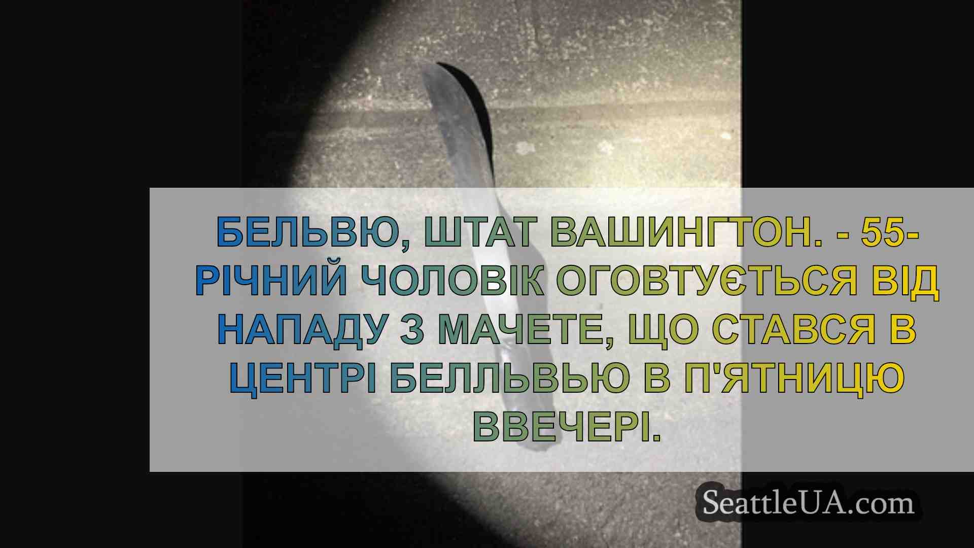 Чоловік, на якого напали з мачете в