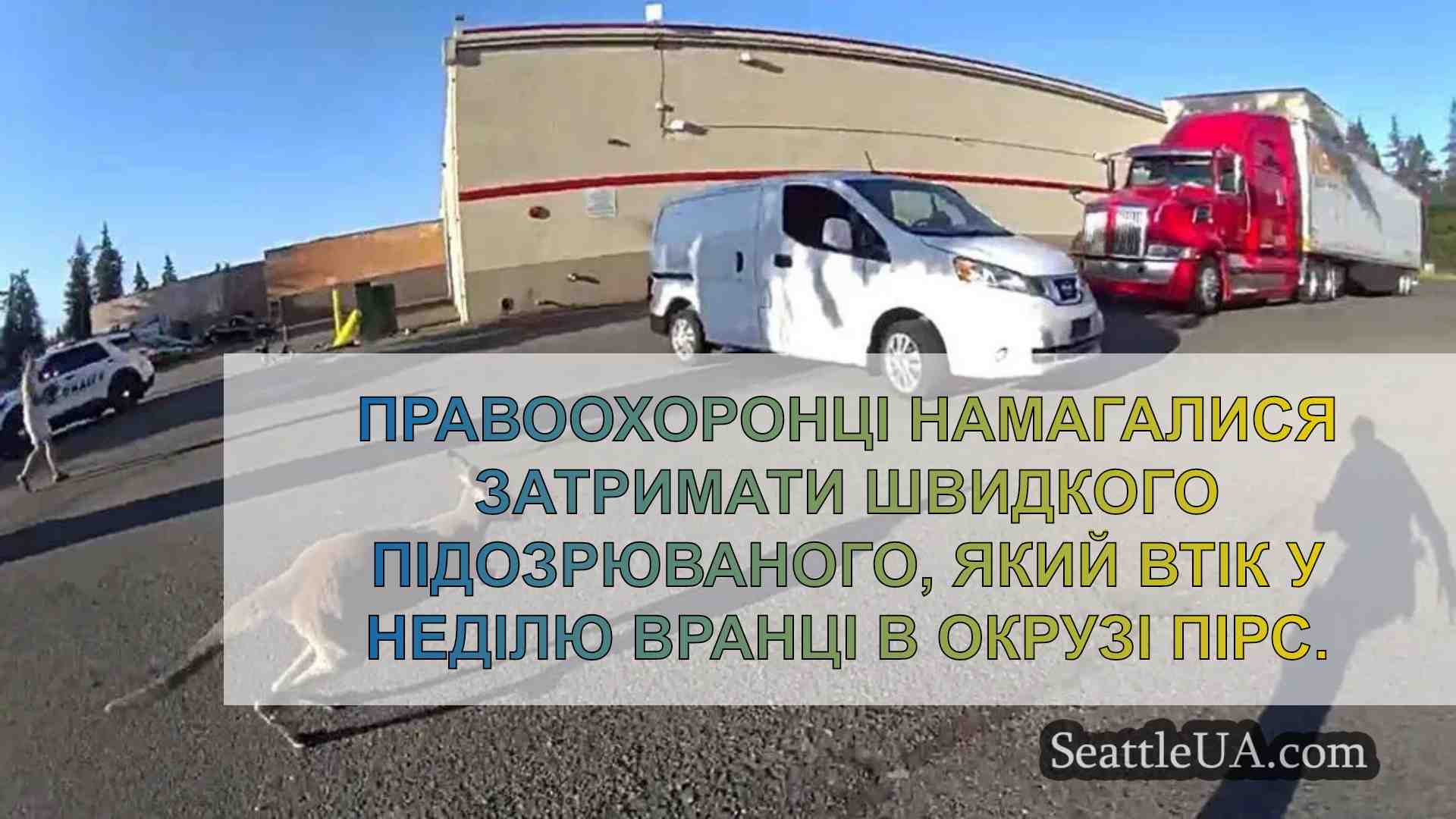 Відео показує, як чиновники округу Пірс