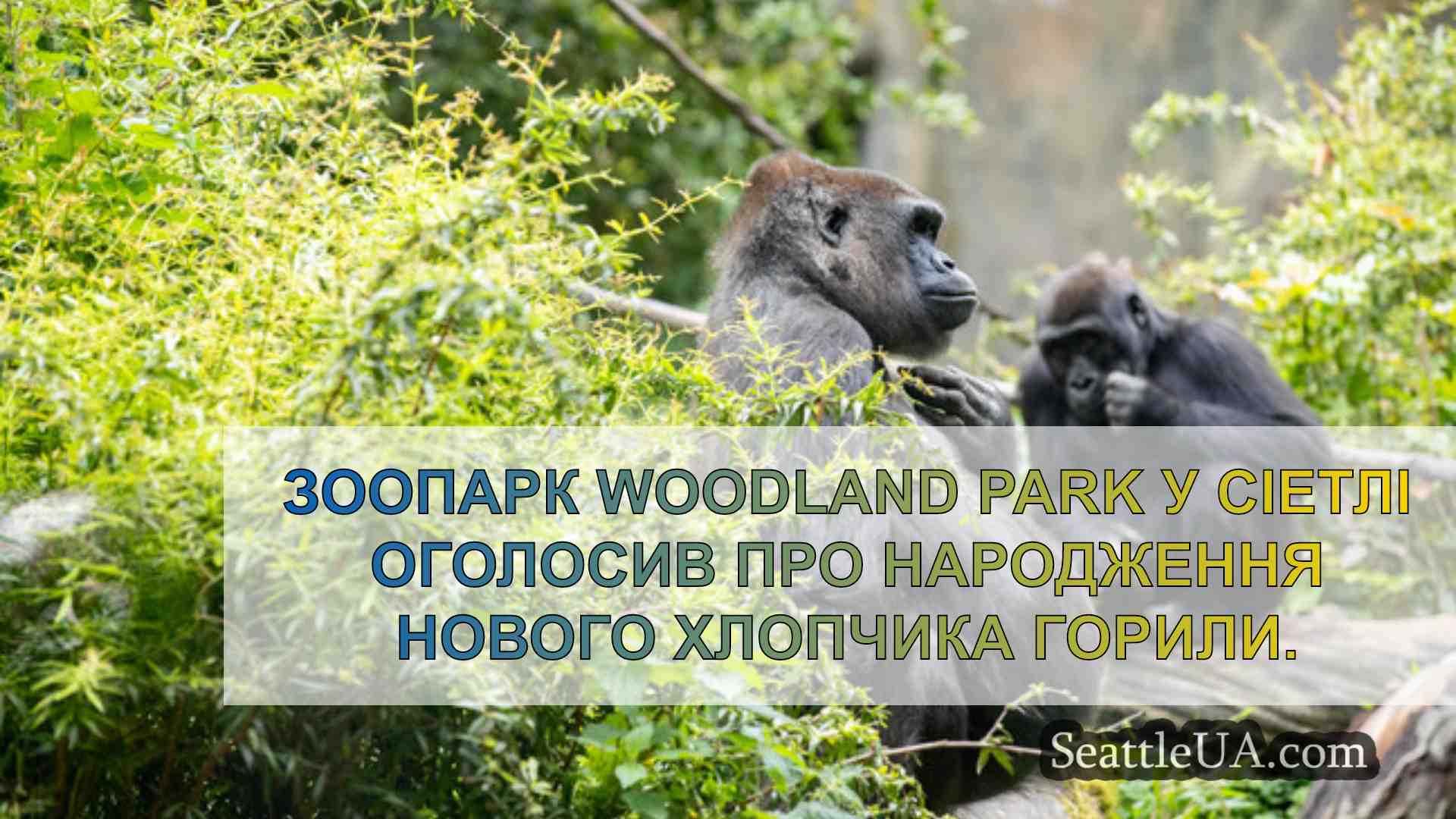 Новини Сіетла SeattleUA