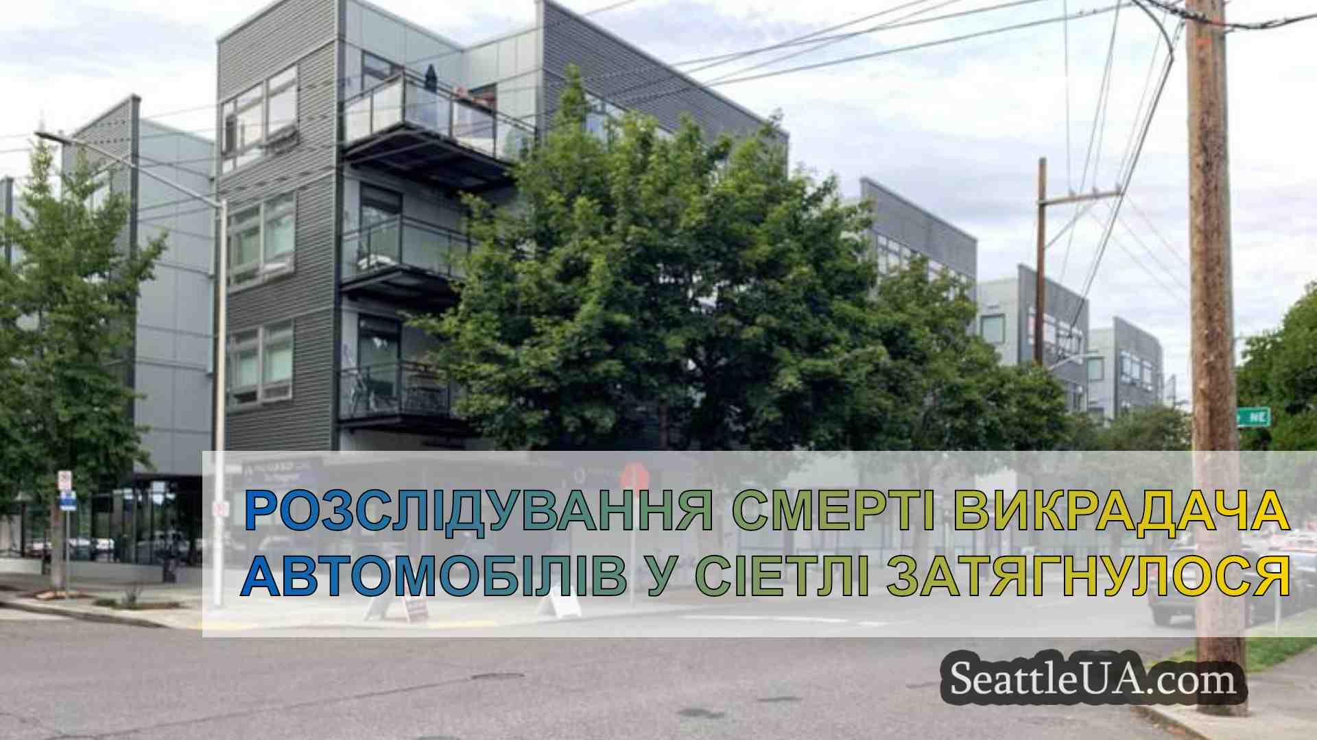 Розслідування смерті викрадача