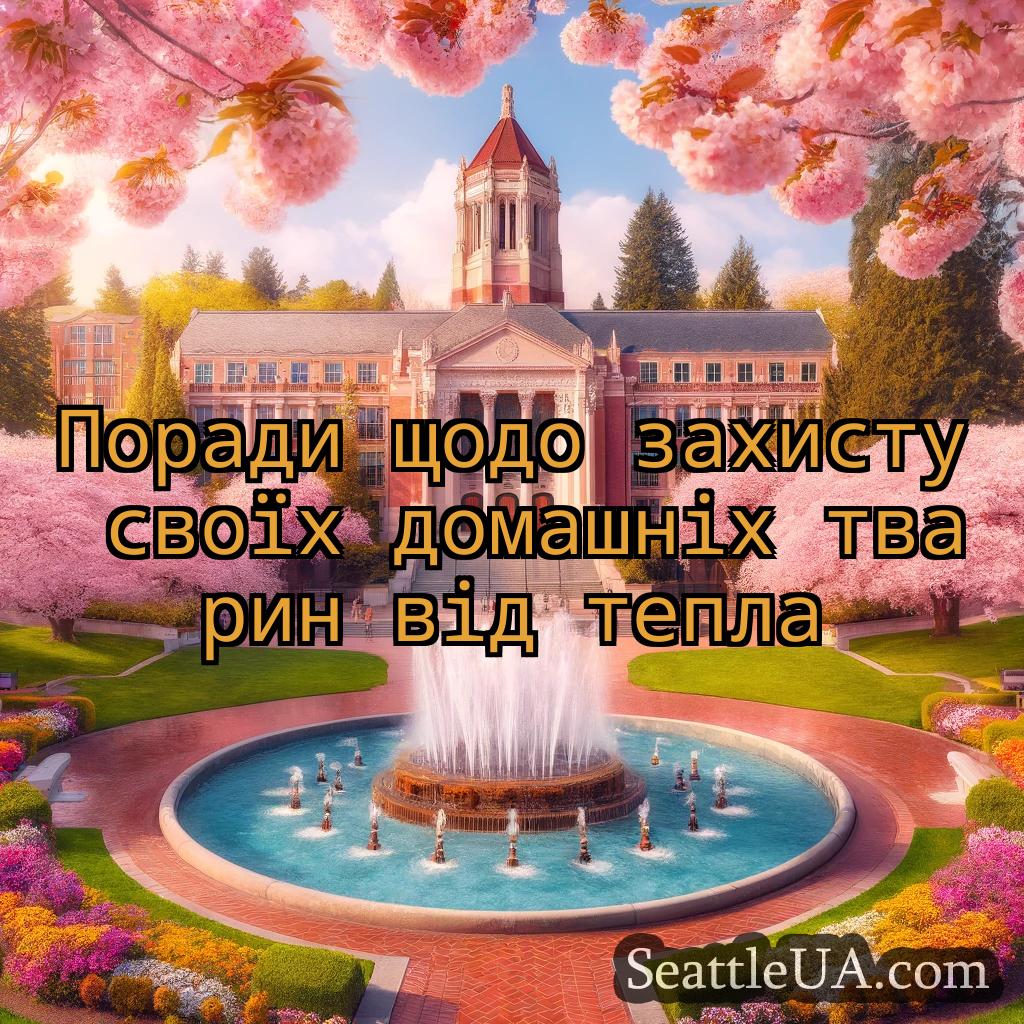новини Сіетла Поради щодо захисту своїх домашніх