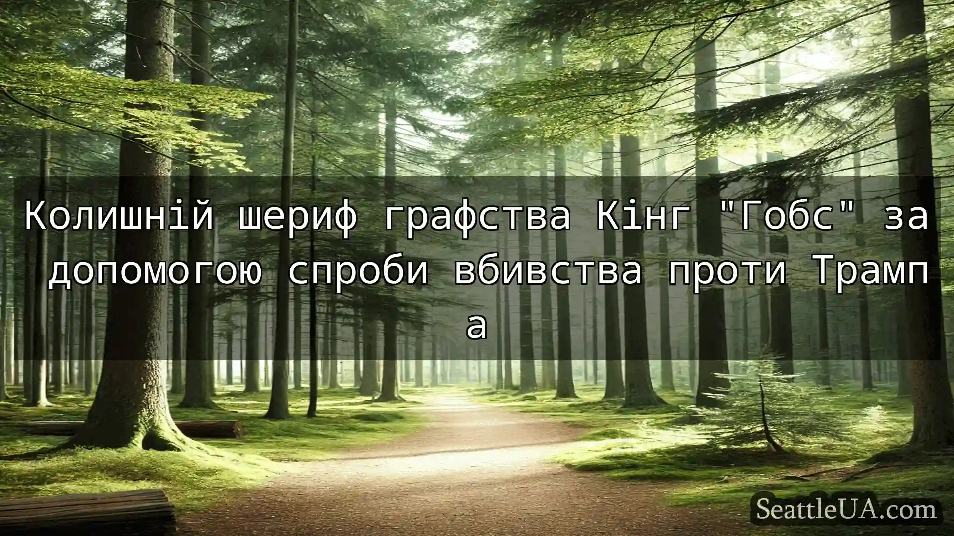новини Сіетла Колишній шериф графства Кінг Гобс