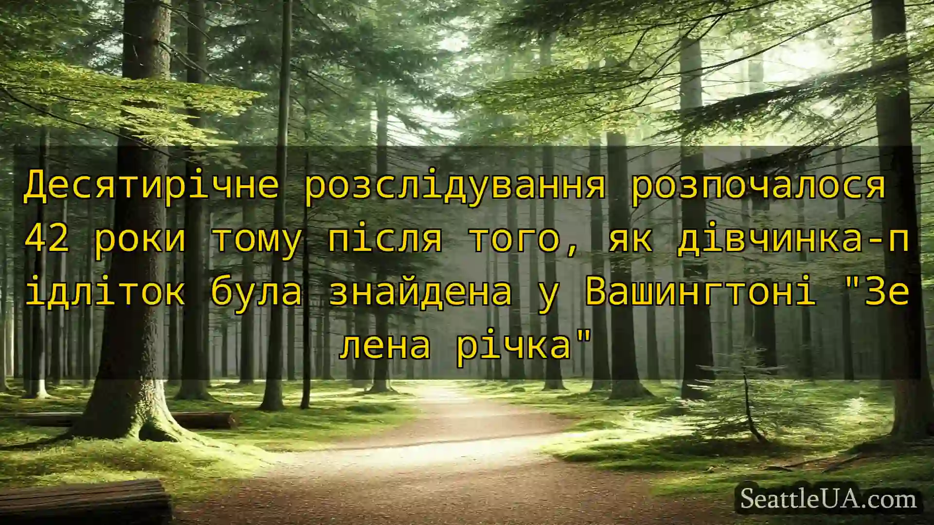 новини Сіетла Десятирічне розслідування