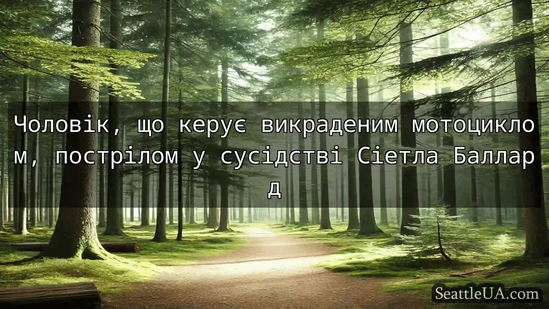новини Сіетла Чоловік, що керує викраденим