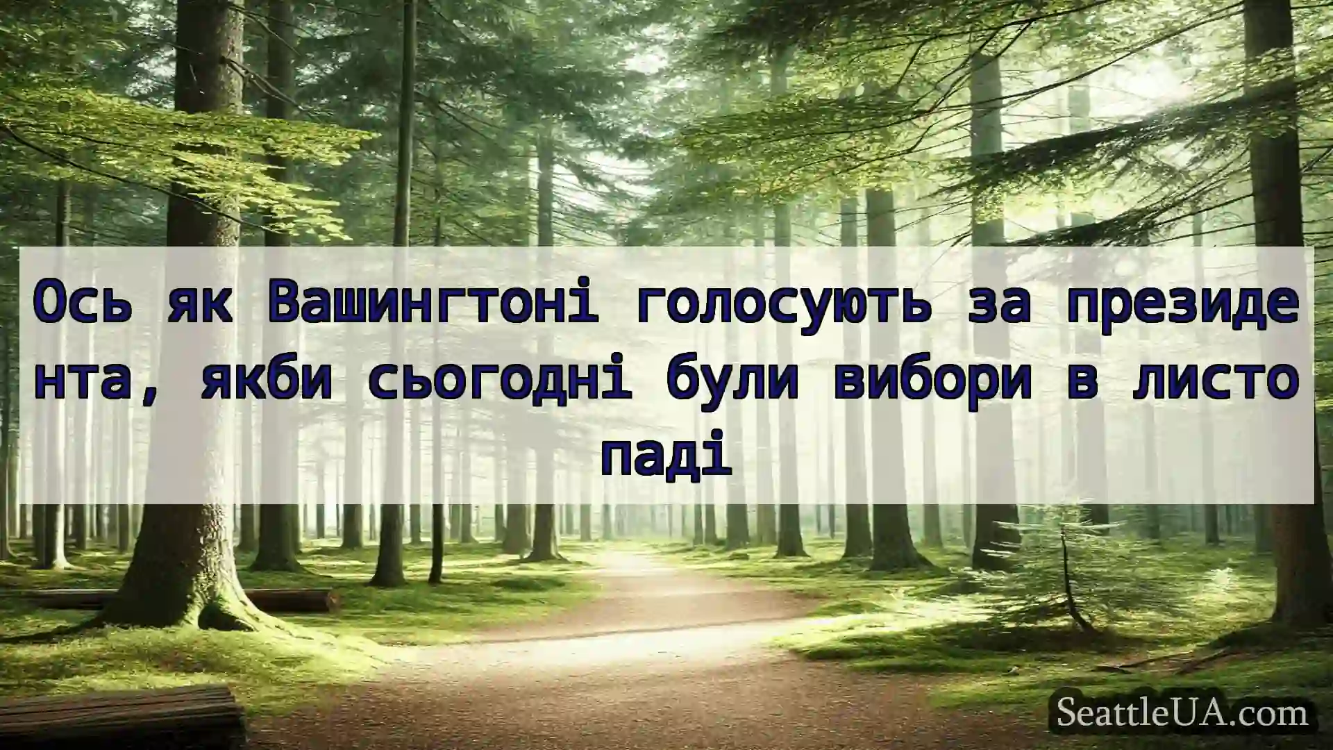 новини Сіетла Ось як Вашингтоні голосують за