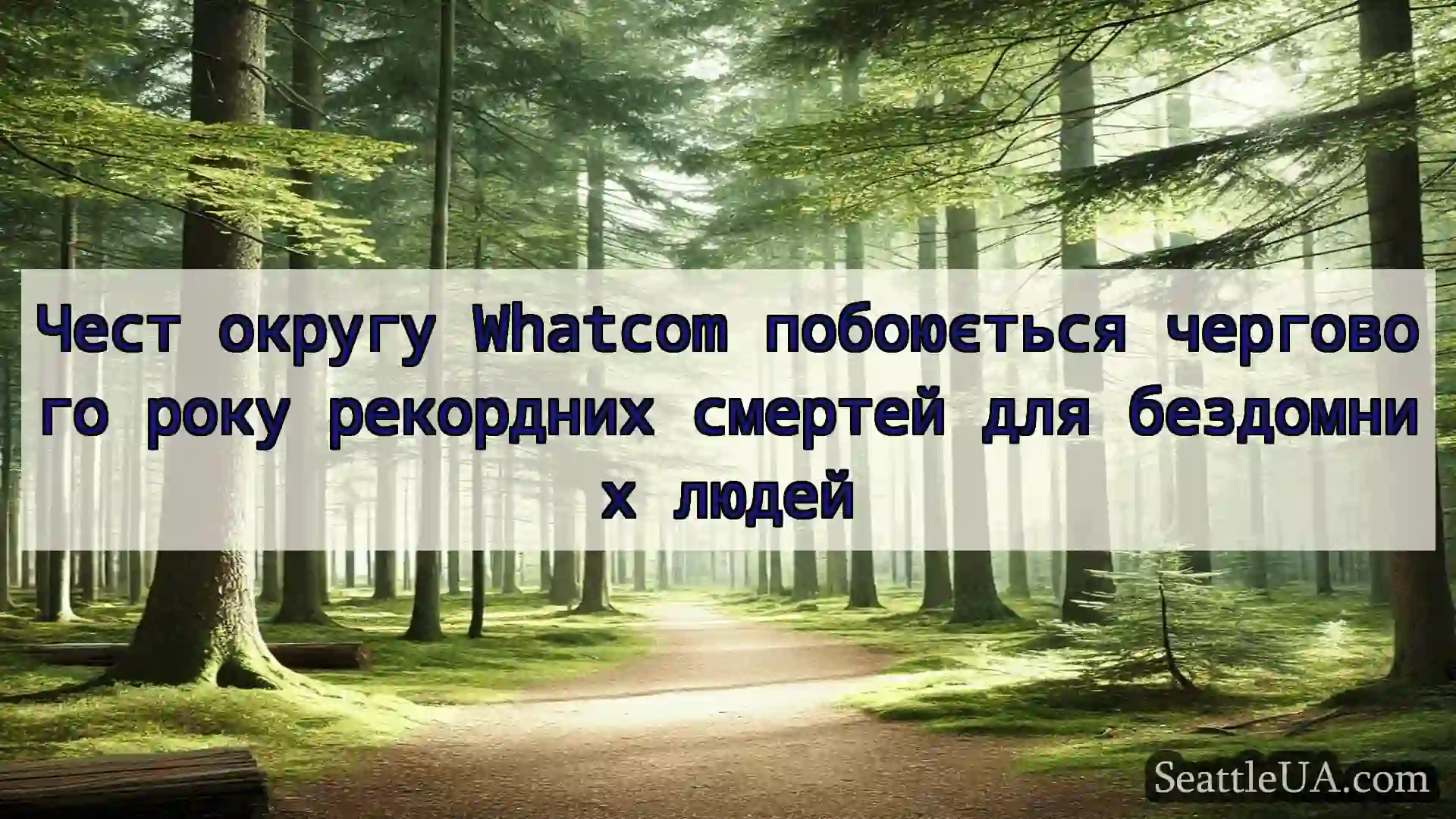новини Сіетла Чест округу Whatcom побоюється