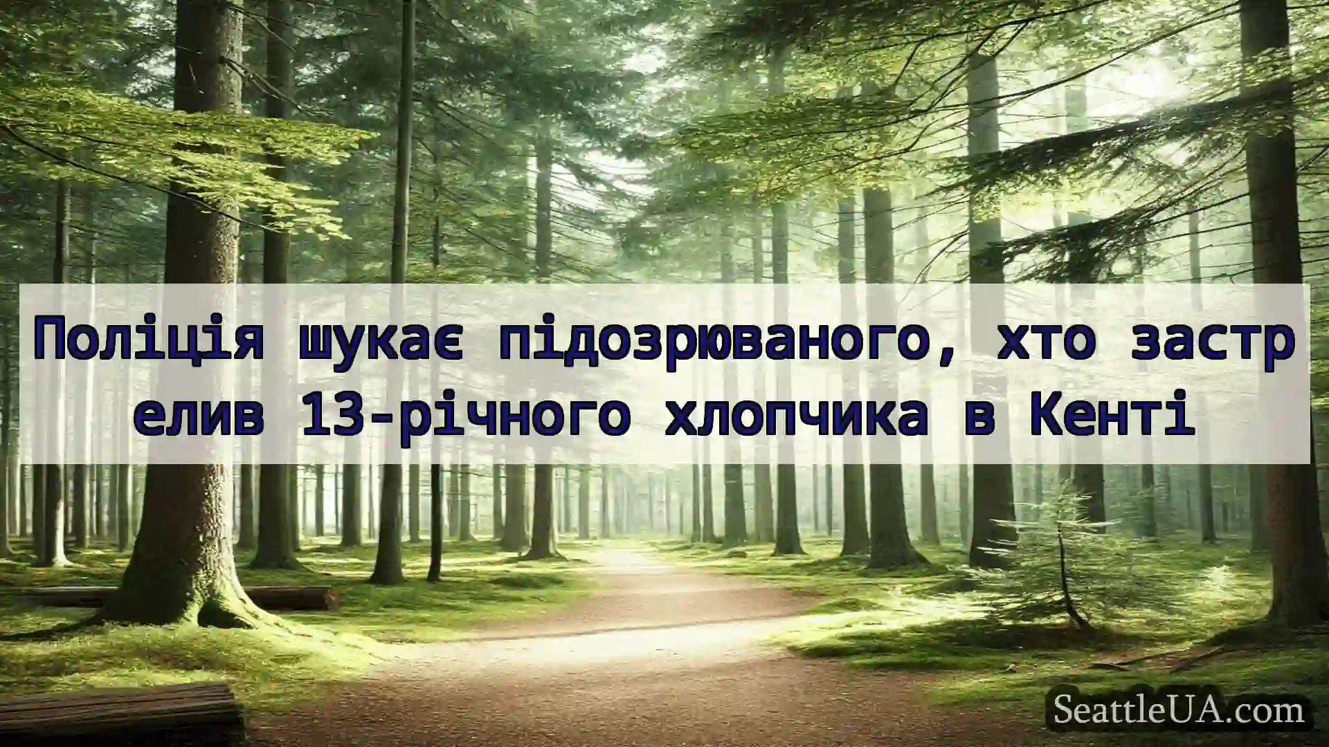 новини Сіетла Поліція шукає підозрюваного, хто