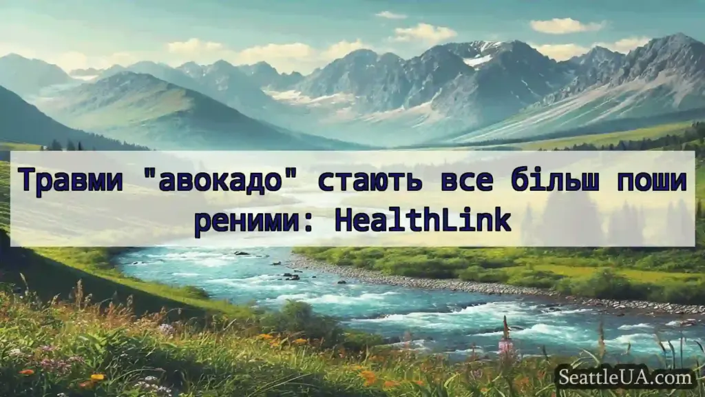 новини Сіетла Травми авокадо стають все більш