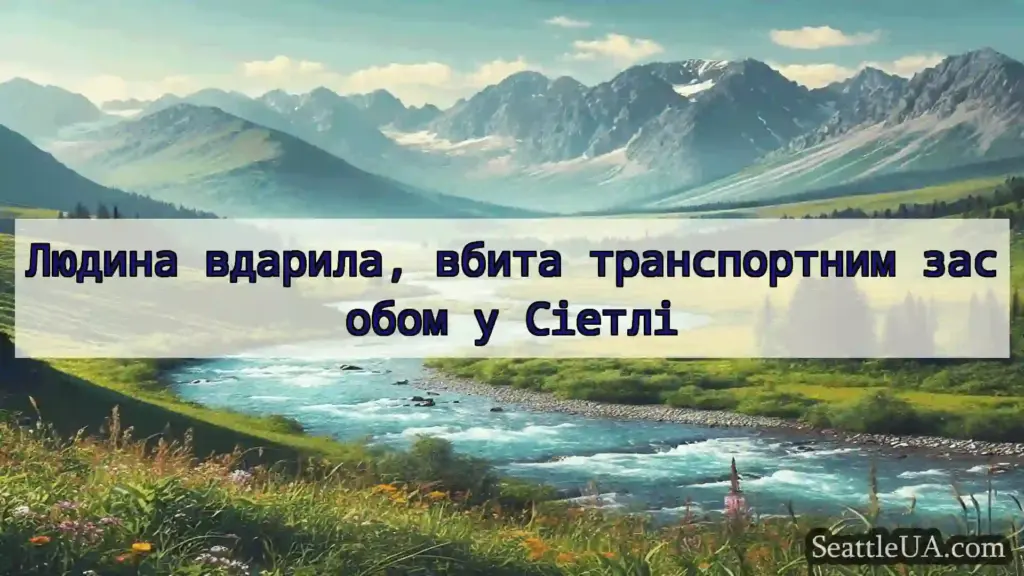 новини Сіетла Людина вдарила, вбита транспортним