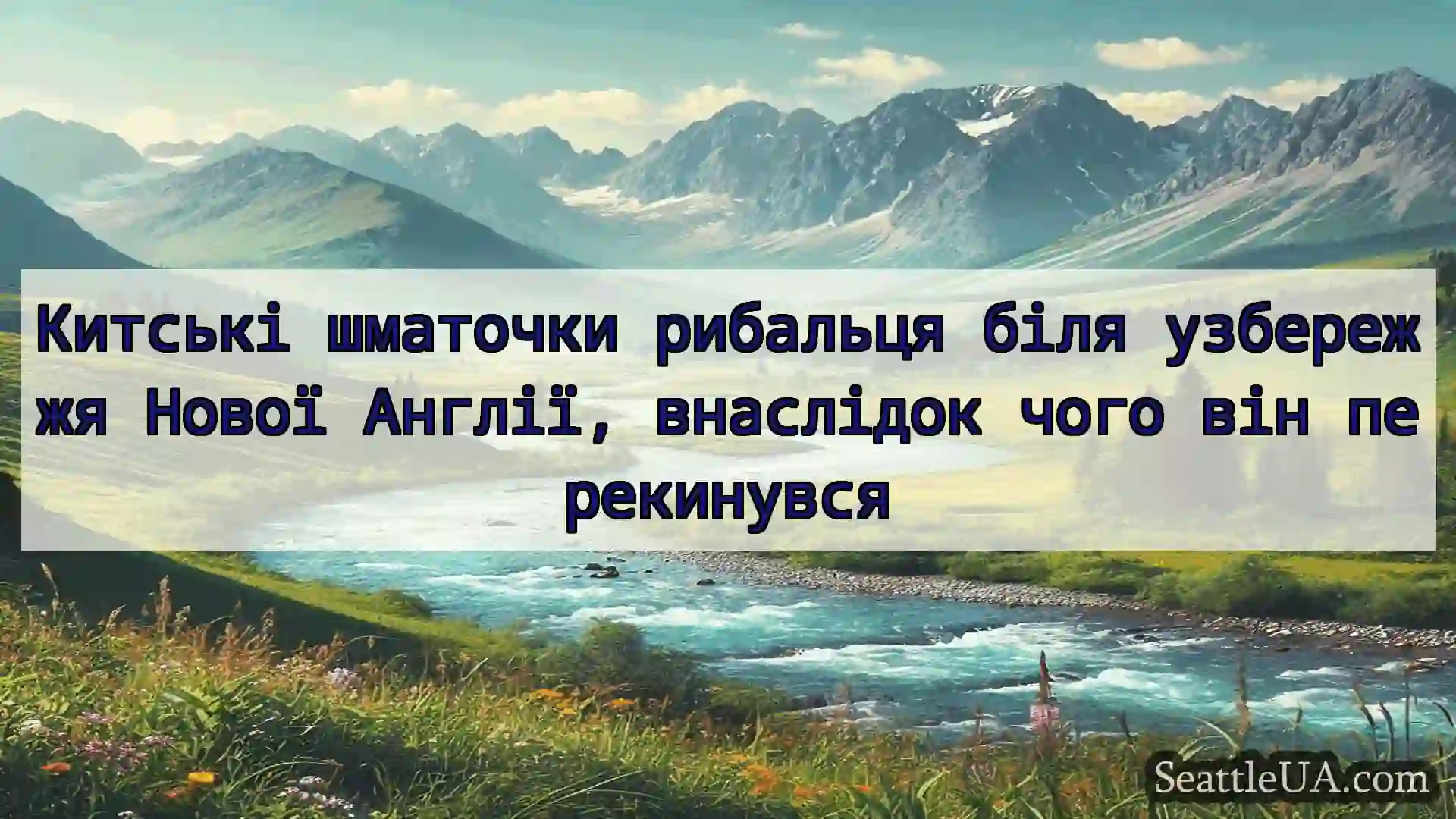 новини Сіетла Китські шматочки рибальця біля
