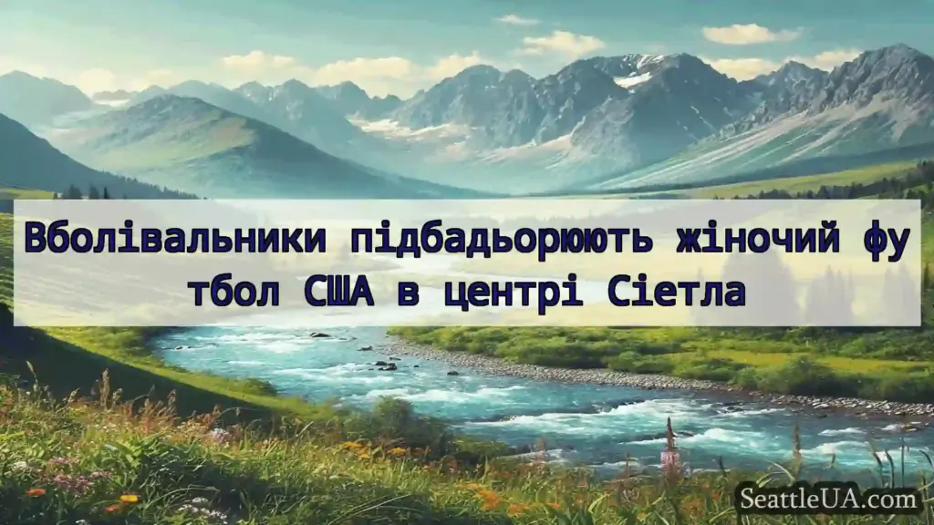 новини Сіетла Вболівальники підбадьорюють