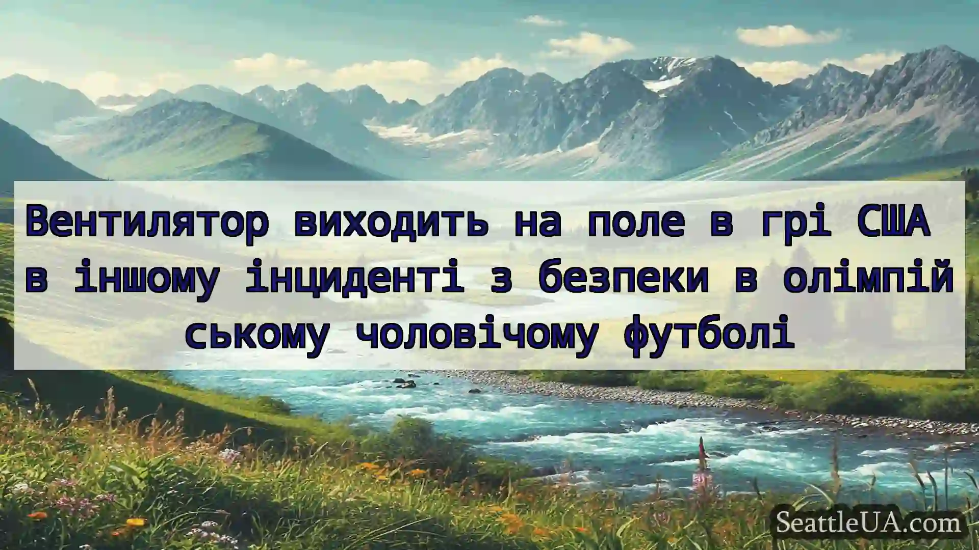 новини Сіетла Вентилятор виходить на поле в грі