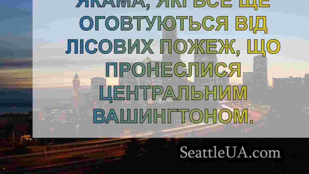 Податкова служба США надала податкові