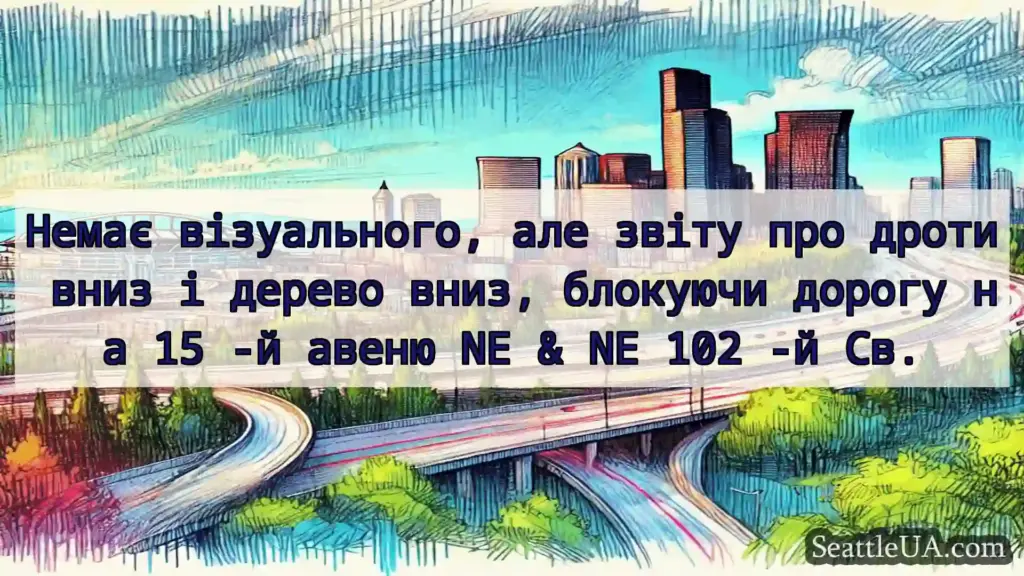 Транспортні новини Сіетла Немає візуального, але звіту про