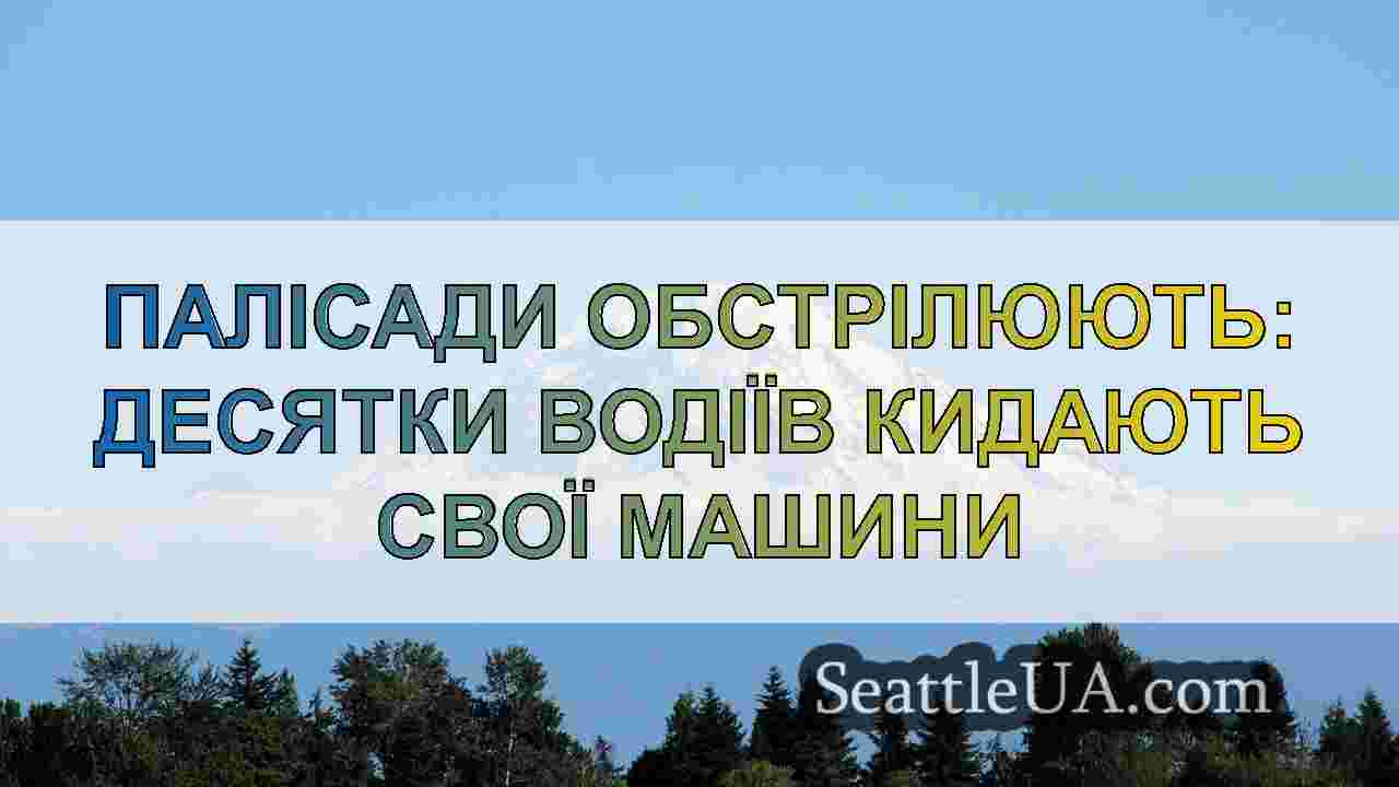 Вогняний хаос на Палісадах: Покинуті