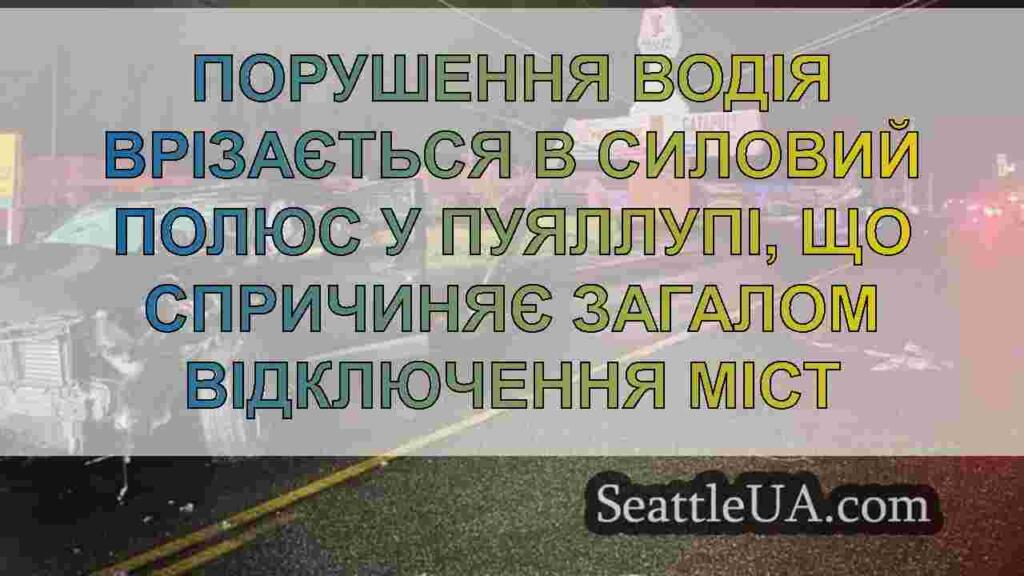 Порушення водія врізається в силовий