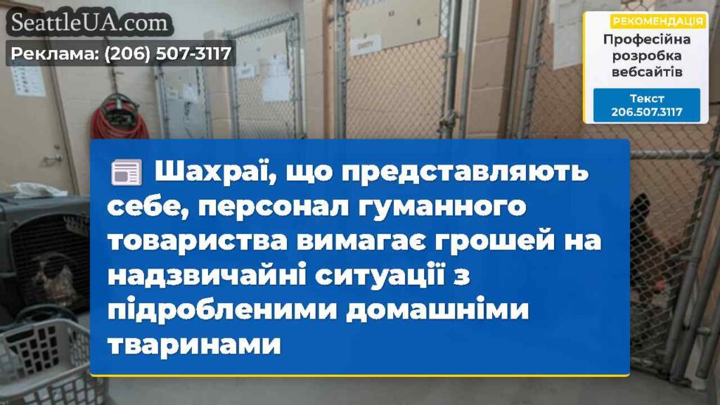 Шахраї, що представляють себе, персонал гуманного