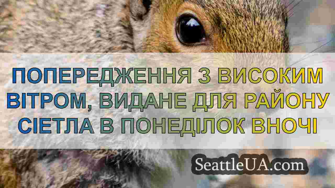 Попередження з високим вітром, видане