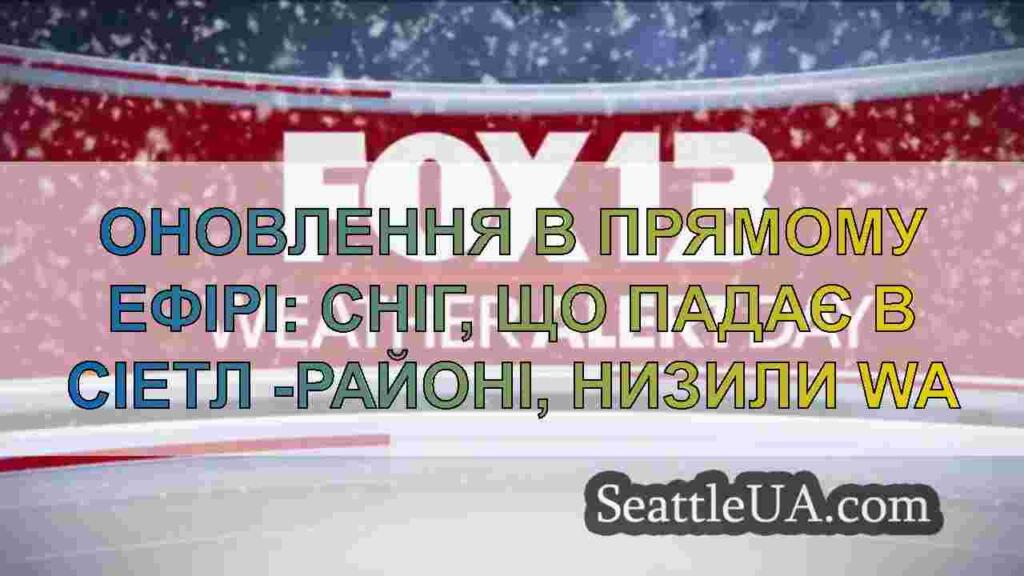 Оновлення в прямому ефірі: сніг, що