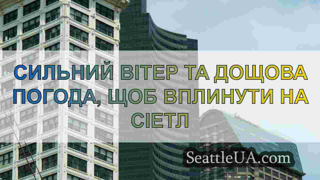 Сильний вітер та дощова погода, щоб