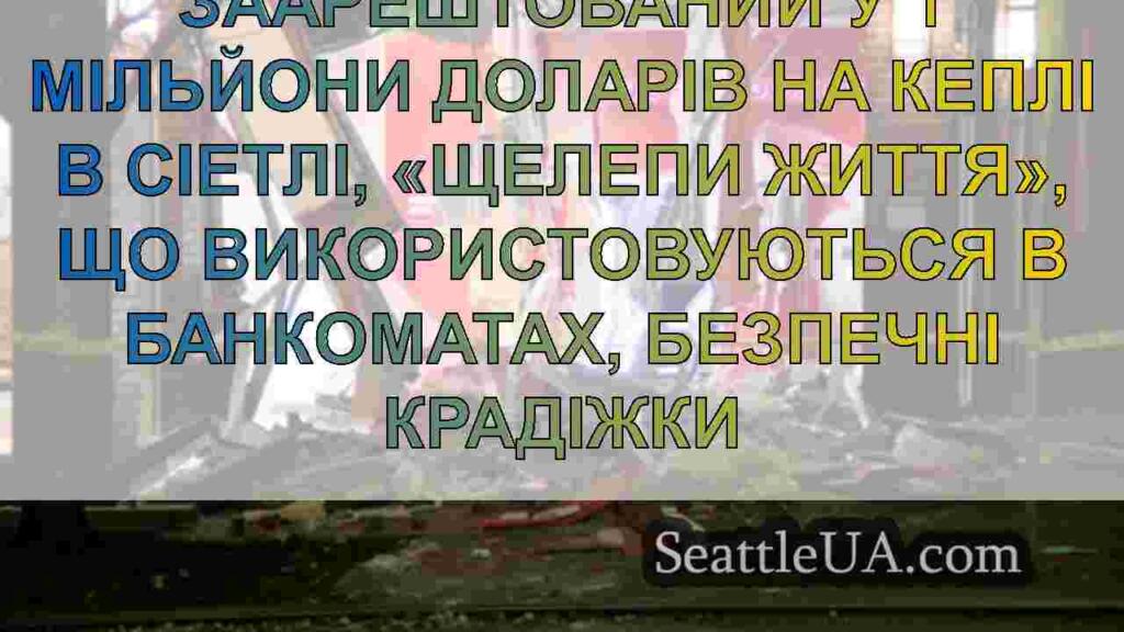 Підозрюваний заарештований у 1 мільйони доларів