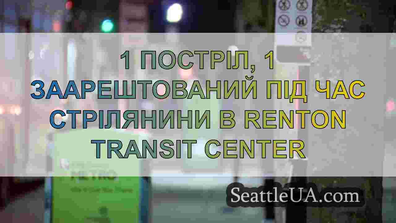 1 постріл, 1 заарештований під час стрілянини в