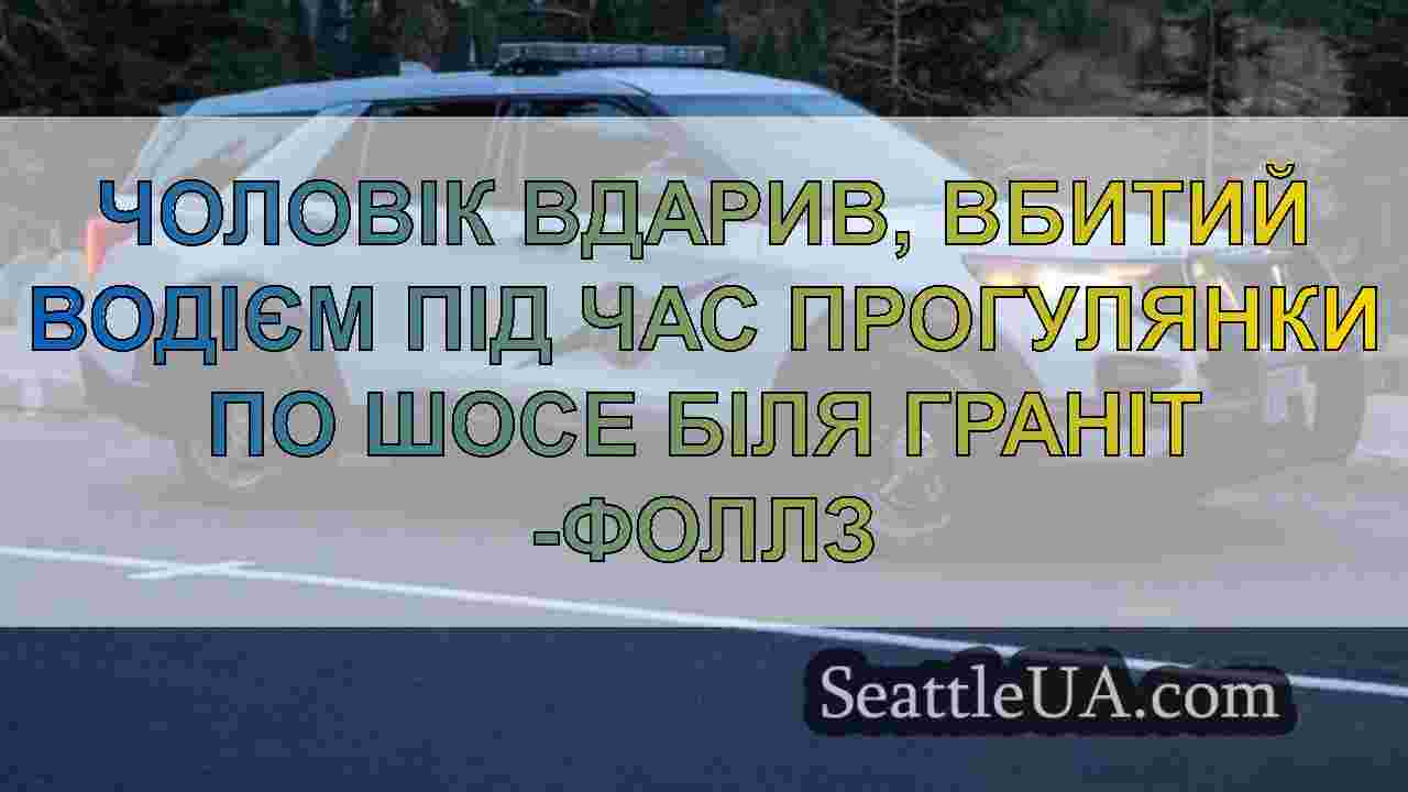 Чоловік вдарив, вбитий водієм під час