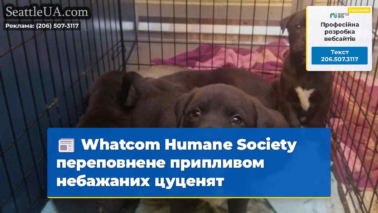 Whatcom Humane Society переповнене припливом
