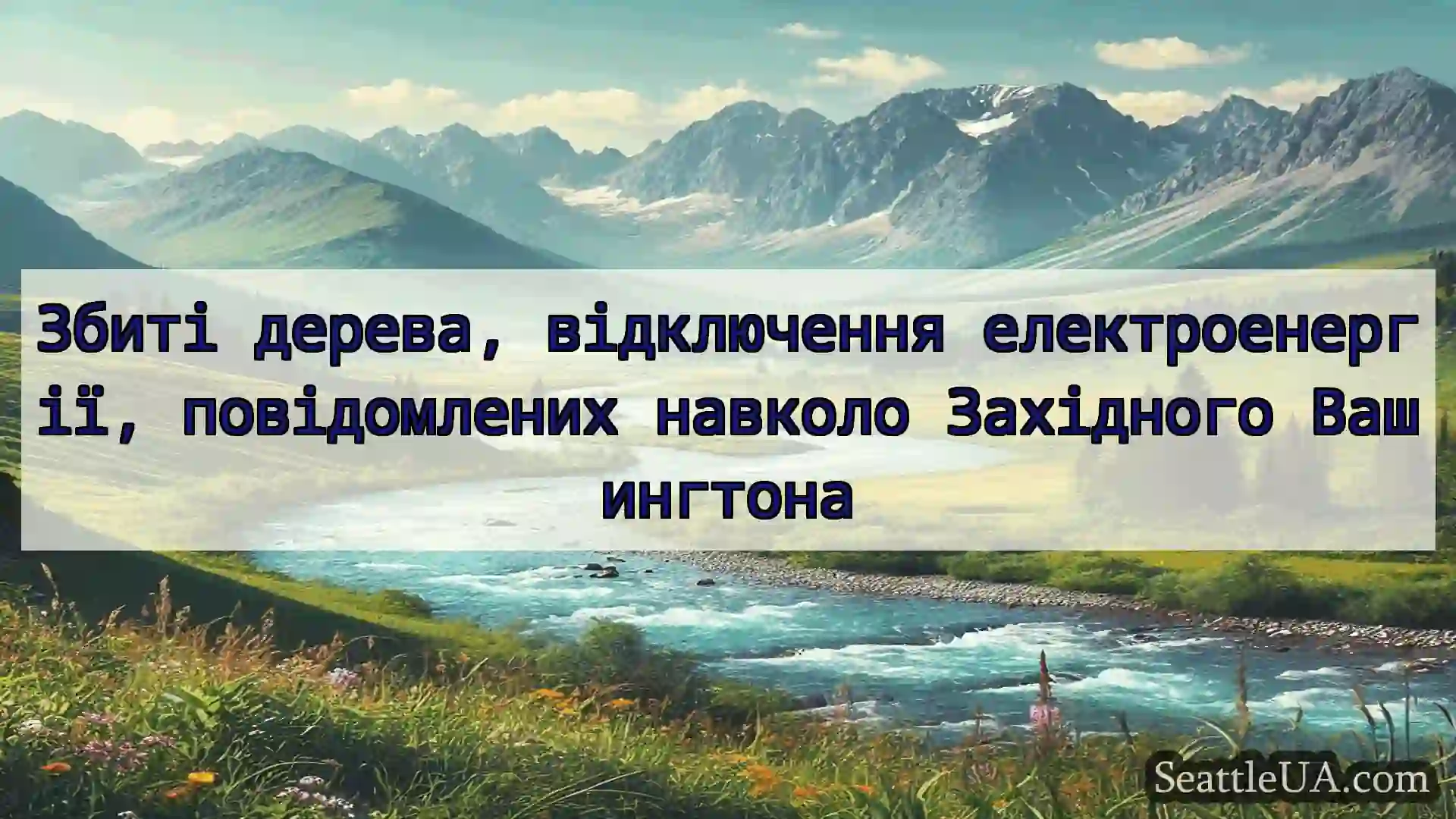 Збиті дерева, відключення електроенергії,
