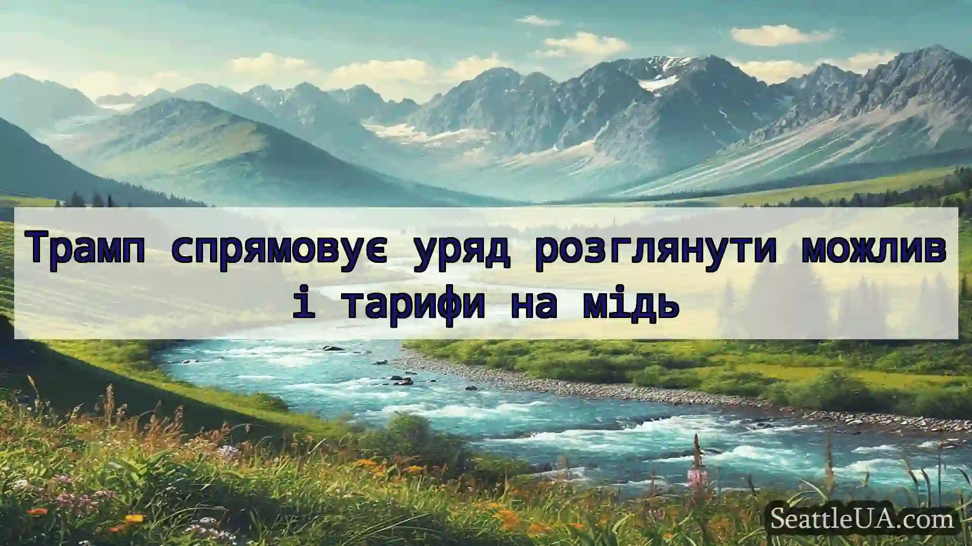Трамп спрямовує уряд розглянути можливі тарифи на