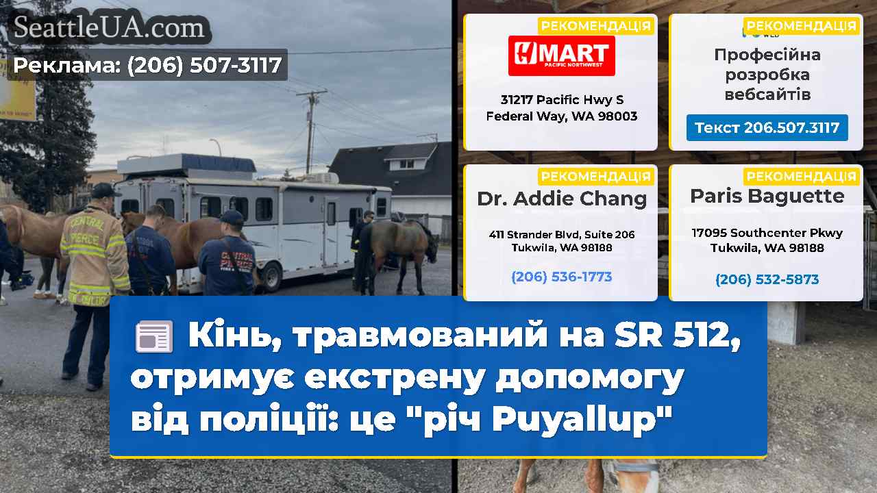 Кінь, травмований на SR 512, отримує екстрену