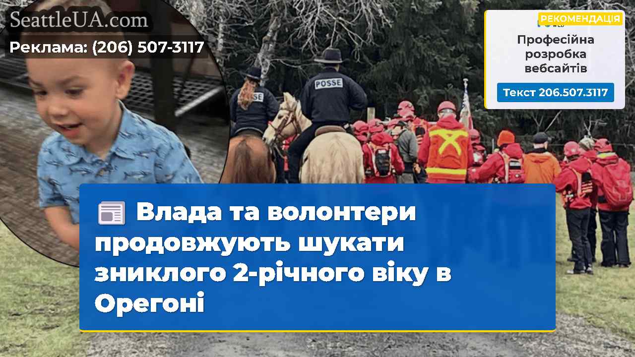Влада та волонтери продовжують шукати зниклого