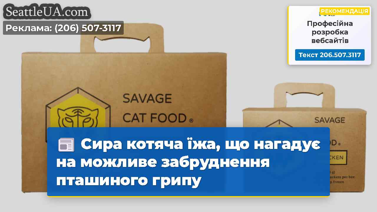 Сира котяча їжа, що нагадує на можливе