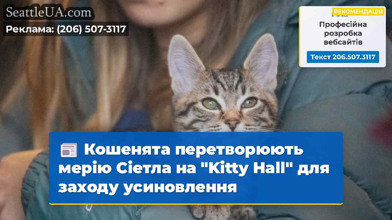 Кошенята перетворюють мерію Сіетла на "Kitty