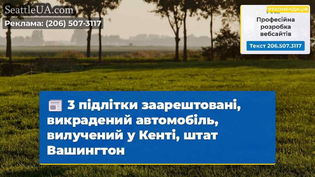 3 підлітки заарештовані, викрадений автомобіль,