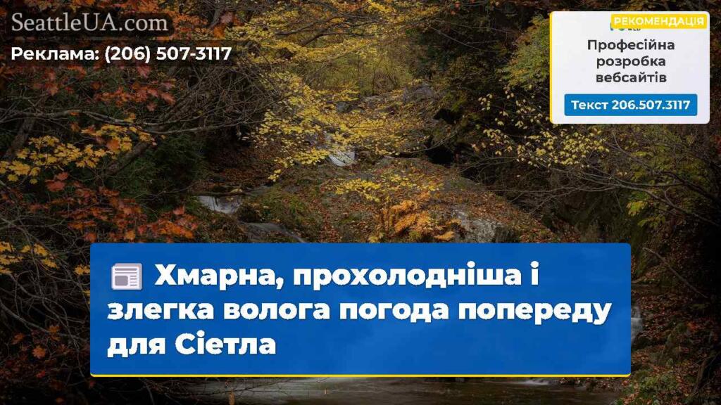 Хмарна, прохолодніша і злегка волога погода