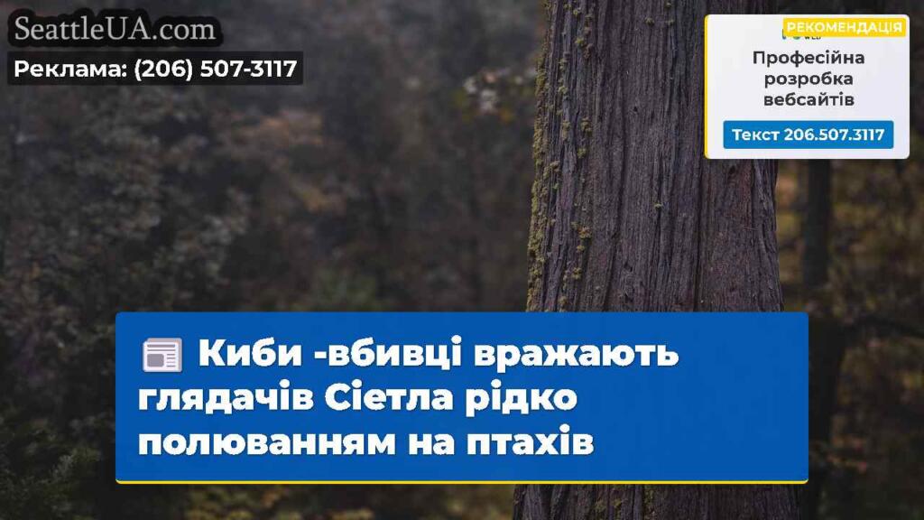 Киби -вбивці вражають глядачів Сіетла рідко