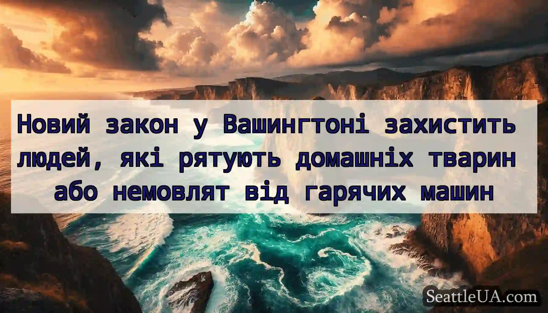 Новий закон у Вашингтоні захистить людей, які