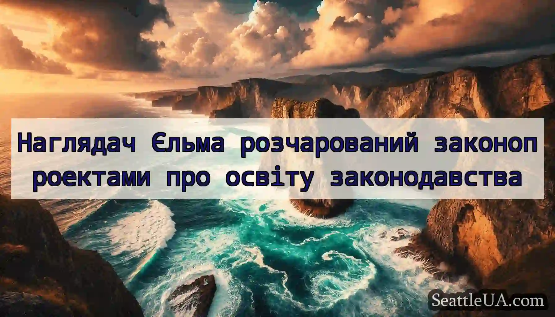 Наглядач Єльма розчарований законопроектами про