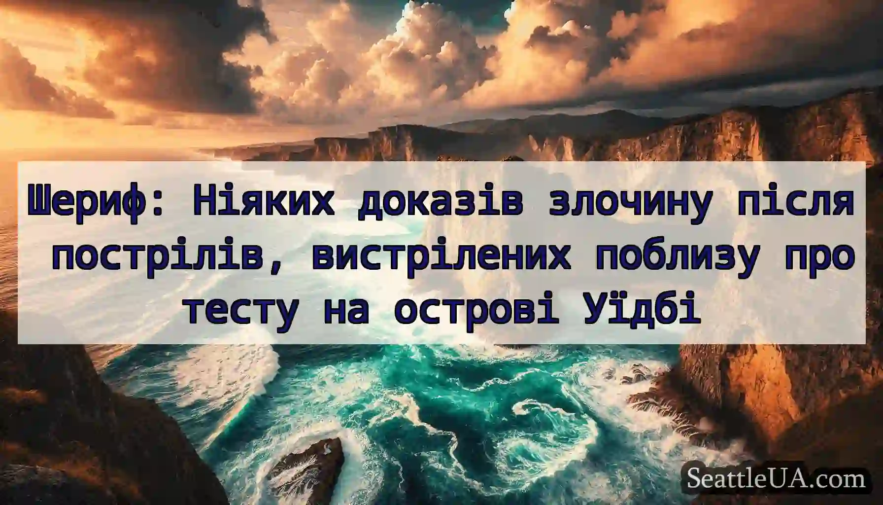 Шериф: Ніяких доказів злочину після пострілів,