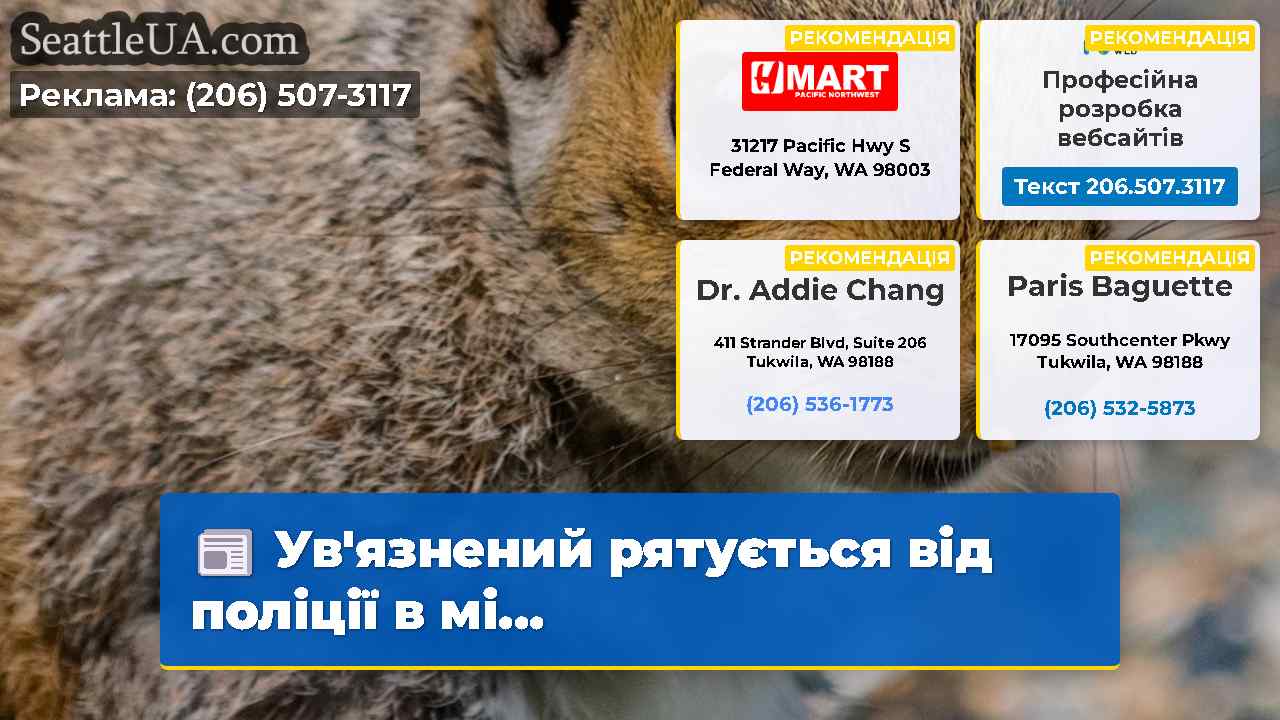 Увязнений рятується від поліції в мі…