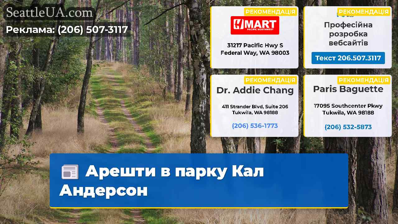 Арешти в парку Кал Андерсон