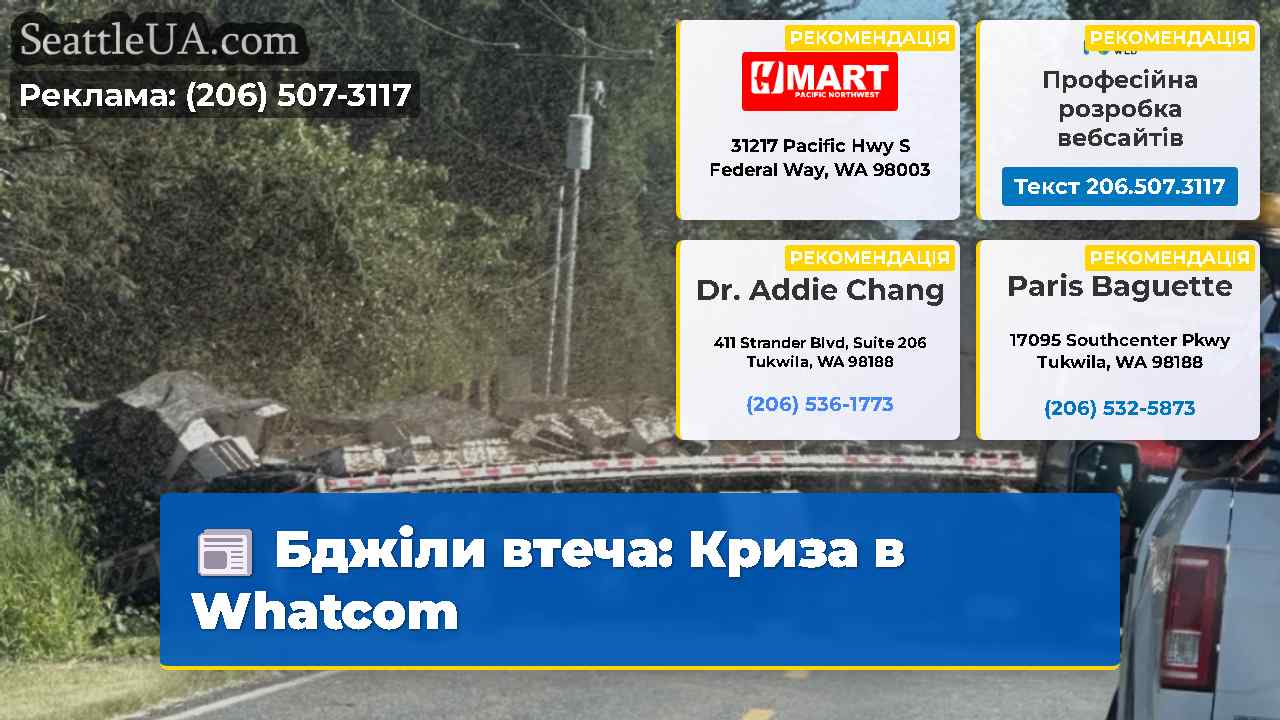 Бджіли втеча: Криза в Whatcom
