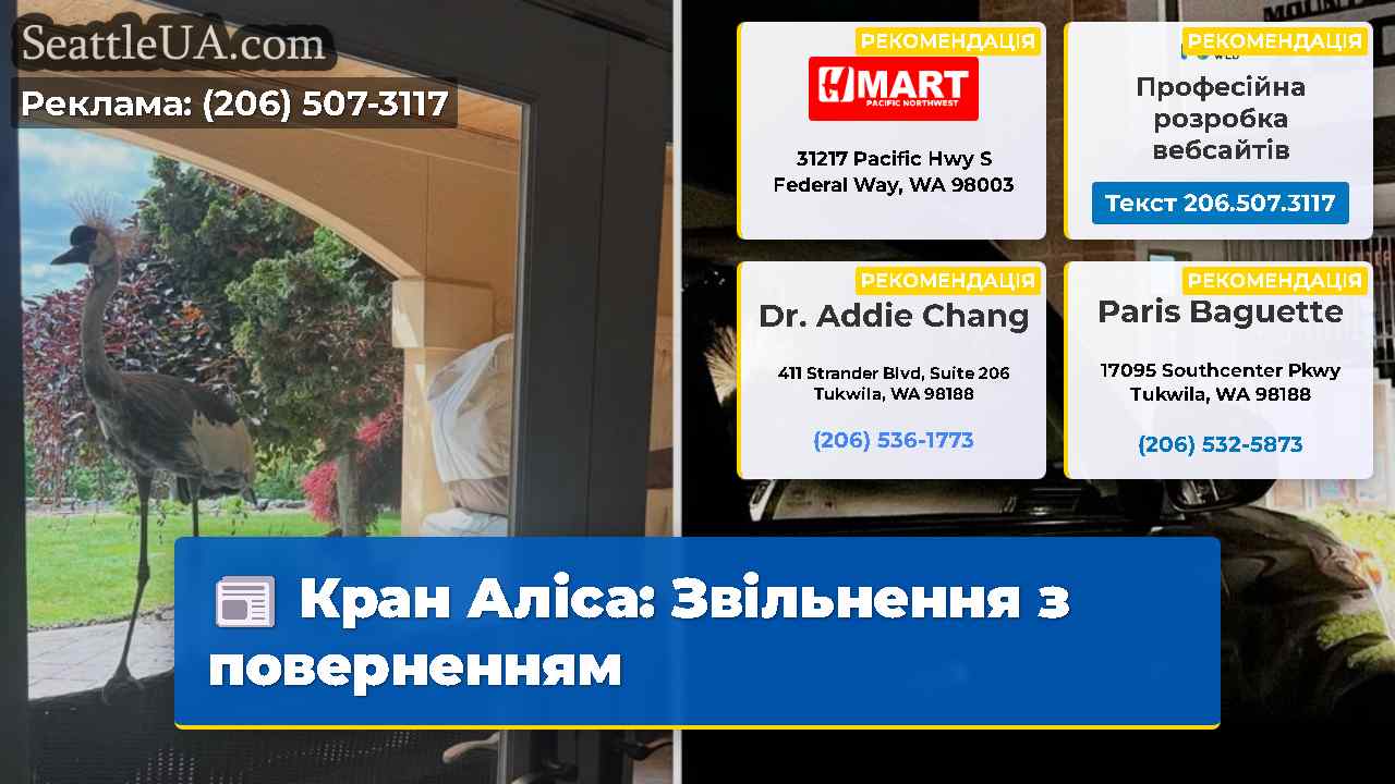 Кран Аліса: Звільнення з поверненням