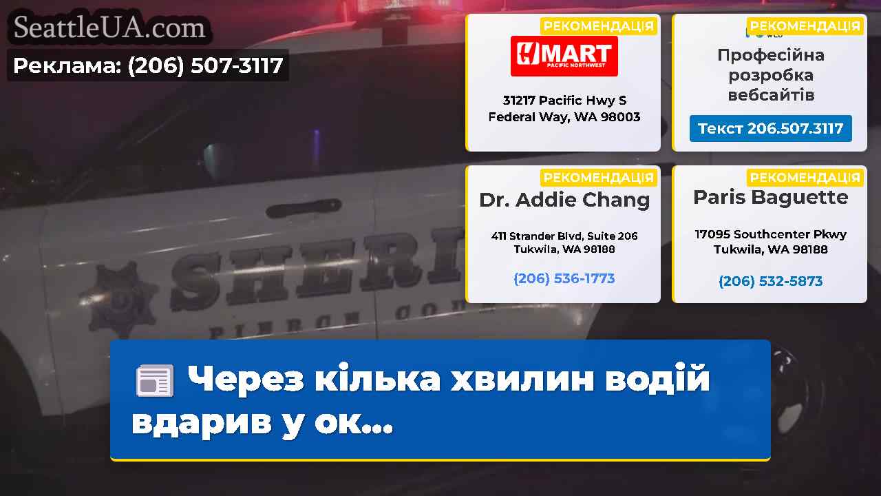 Через кілька хвилин водій вдарив у ок...