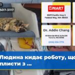 Людина кидає роботу щоб відплисти з …
